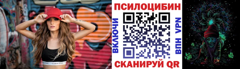 Галлюциногенные грибы Psilocybine cubensis  Пятигорск 